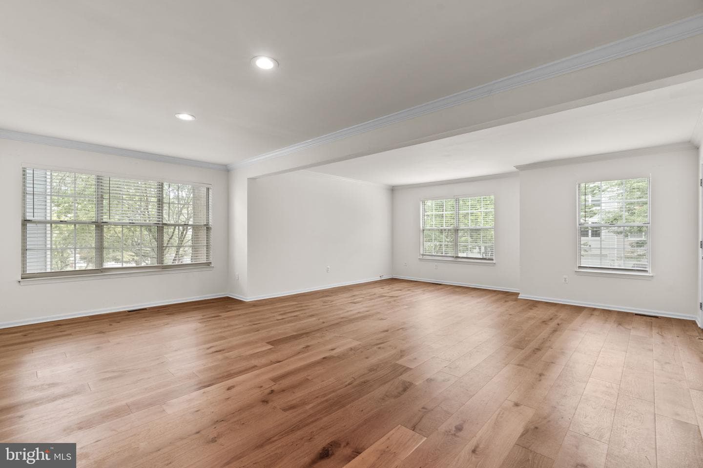 5317 Chase Lions Way photo 4