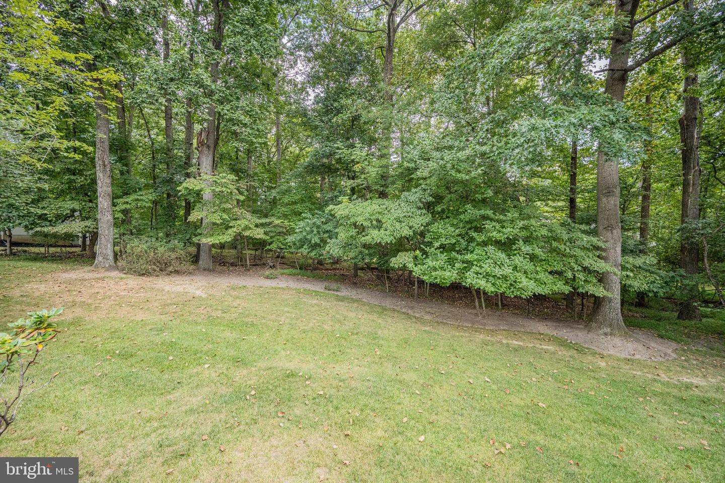 9612 Larchmede Court photo 27