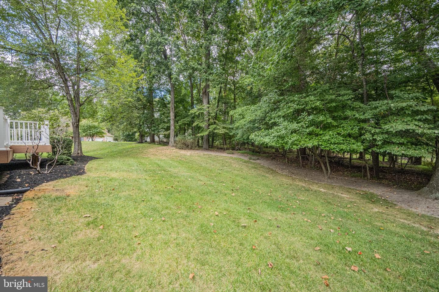 9612 Larchmede Court photo 28