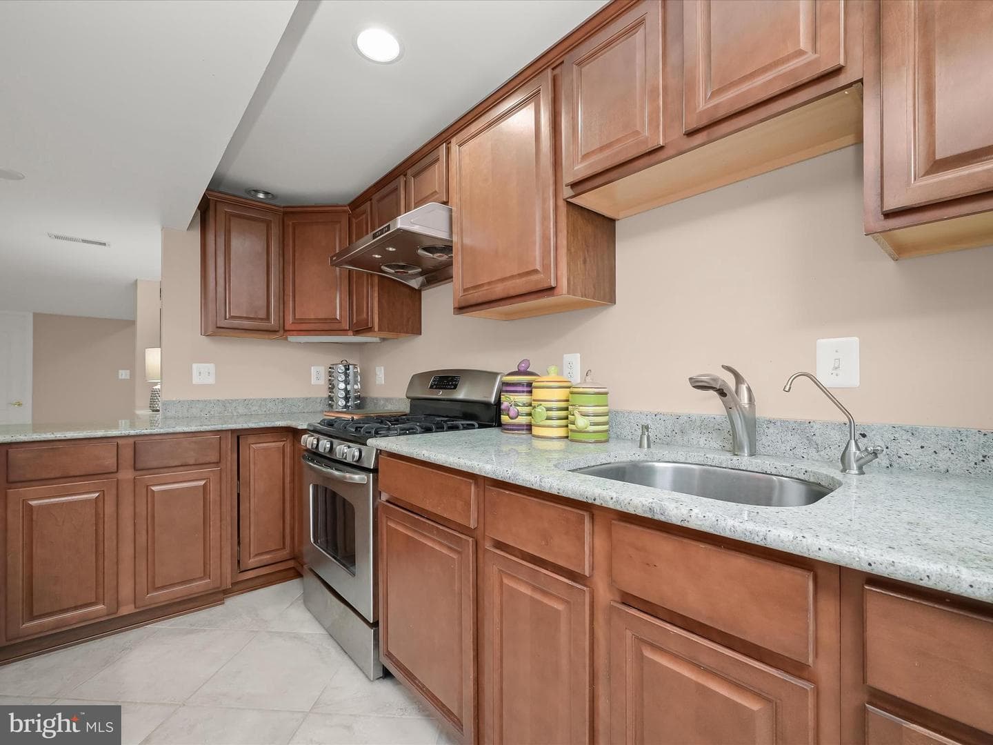 13531 Julia Manor Way photo 68