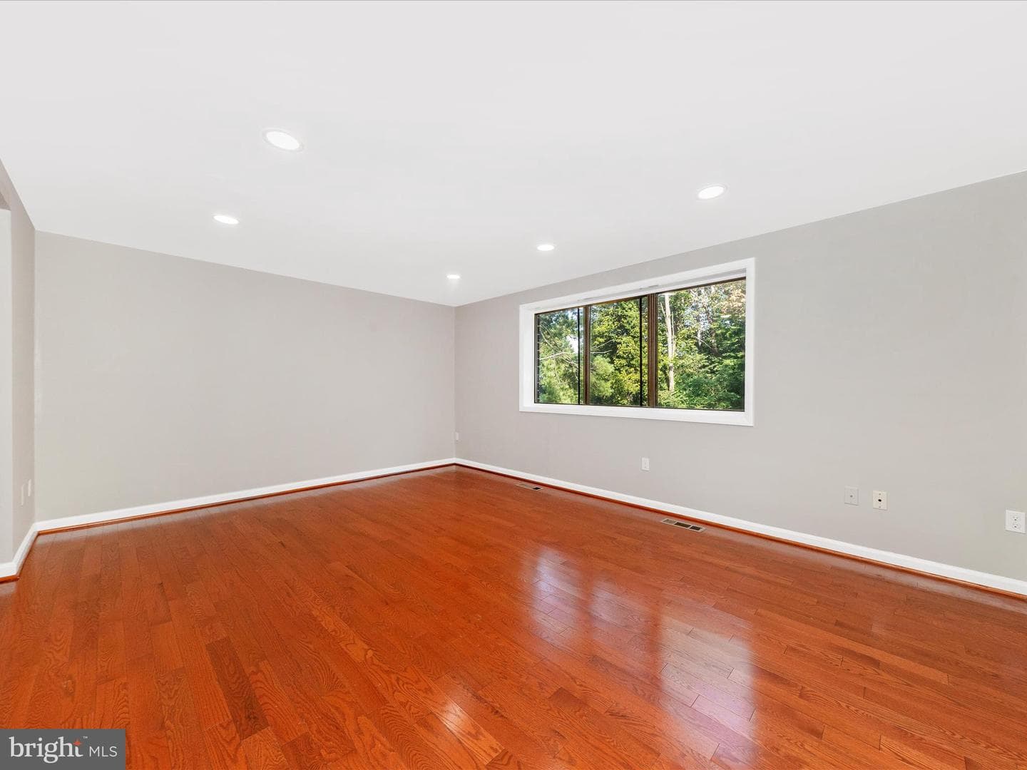 6596 Sweet Fern photo 10