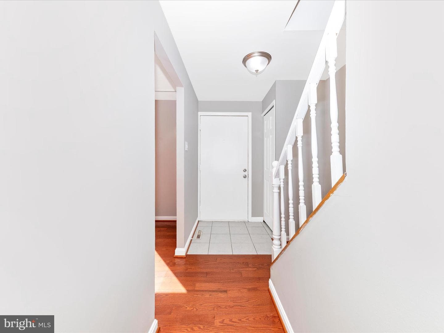 6596 Sweet Fern photo 4
