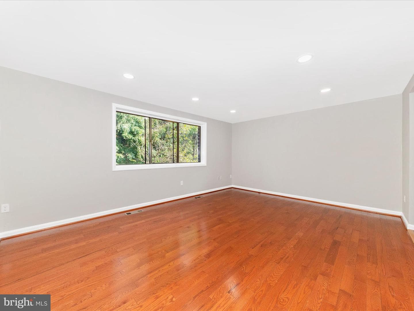 6596 Sweet Fern photo 5