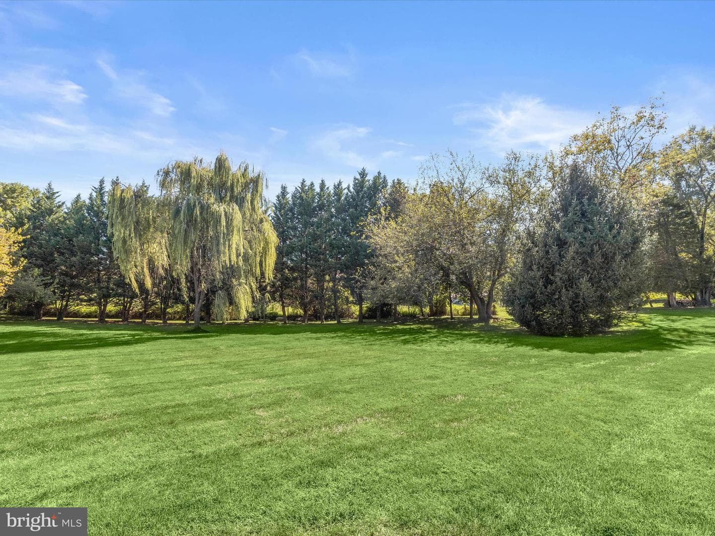 3583 Willow Birch Drive photo 78