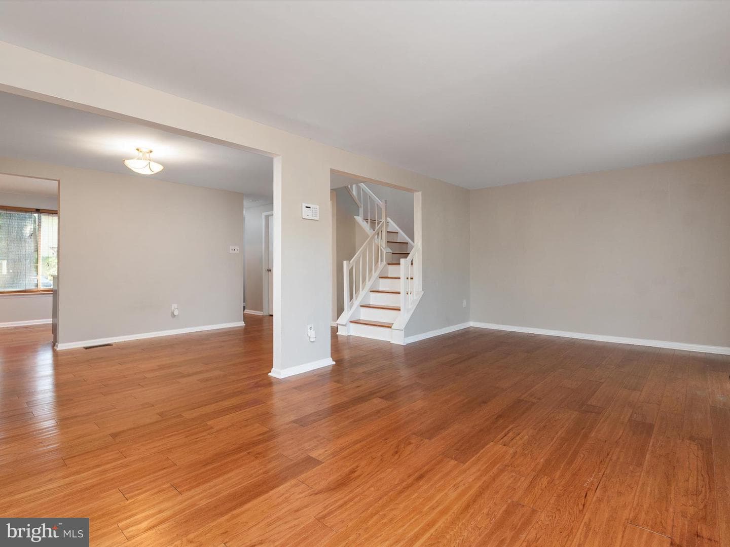 5390 White Mane photo 15