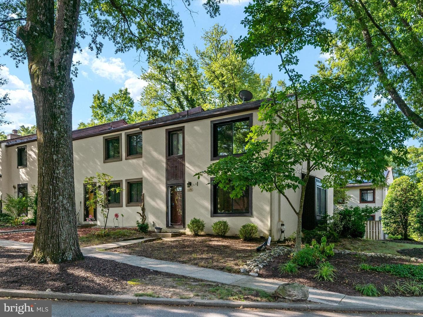 5390 White Mane photo 2