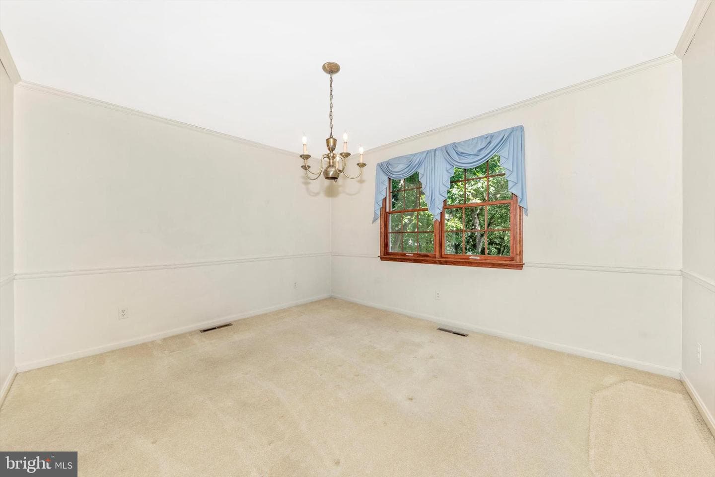 10036 Century Drive photo 11