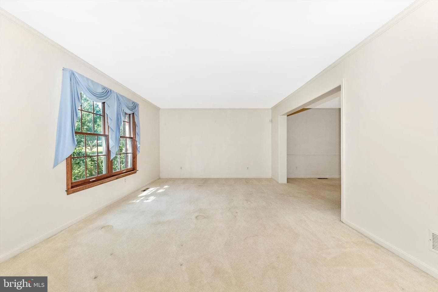 10036 Century Drive photo 5