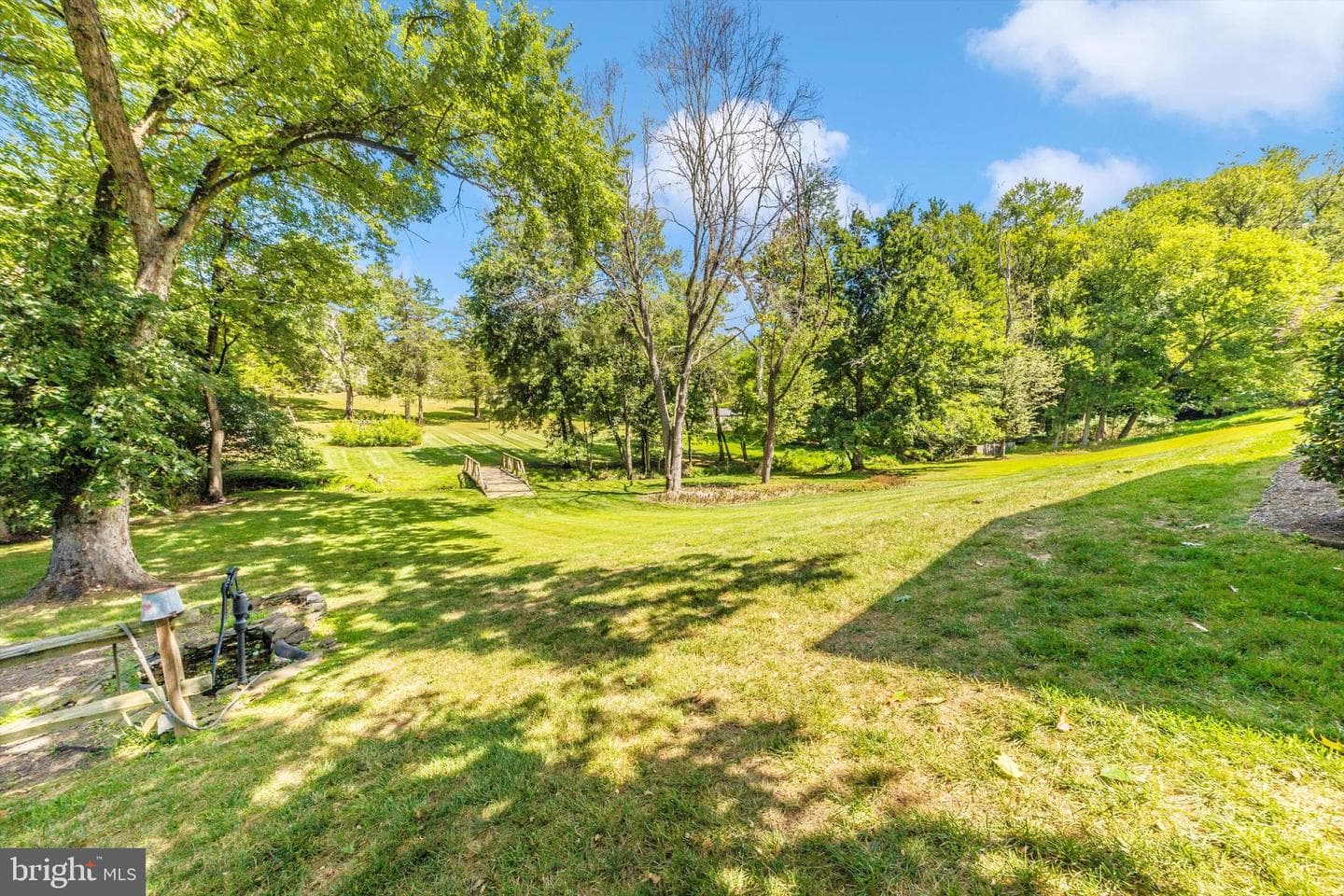 10036 Century Drive photo 54