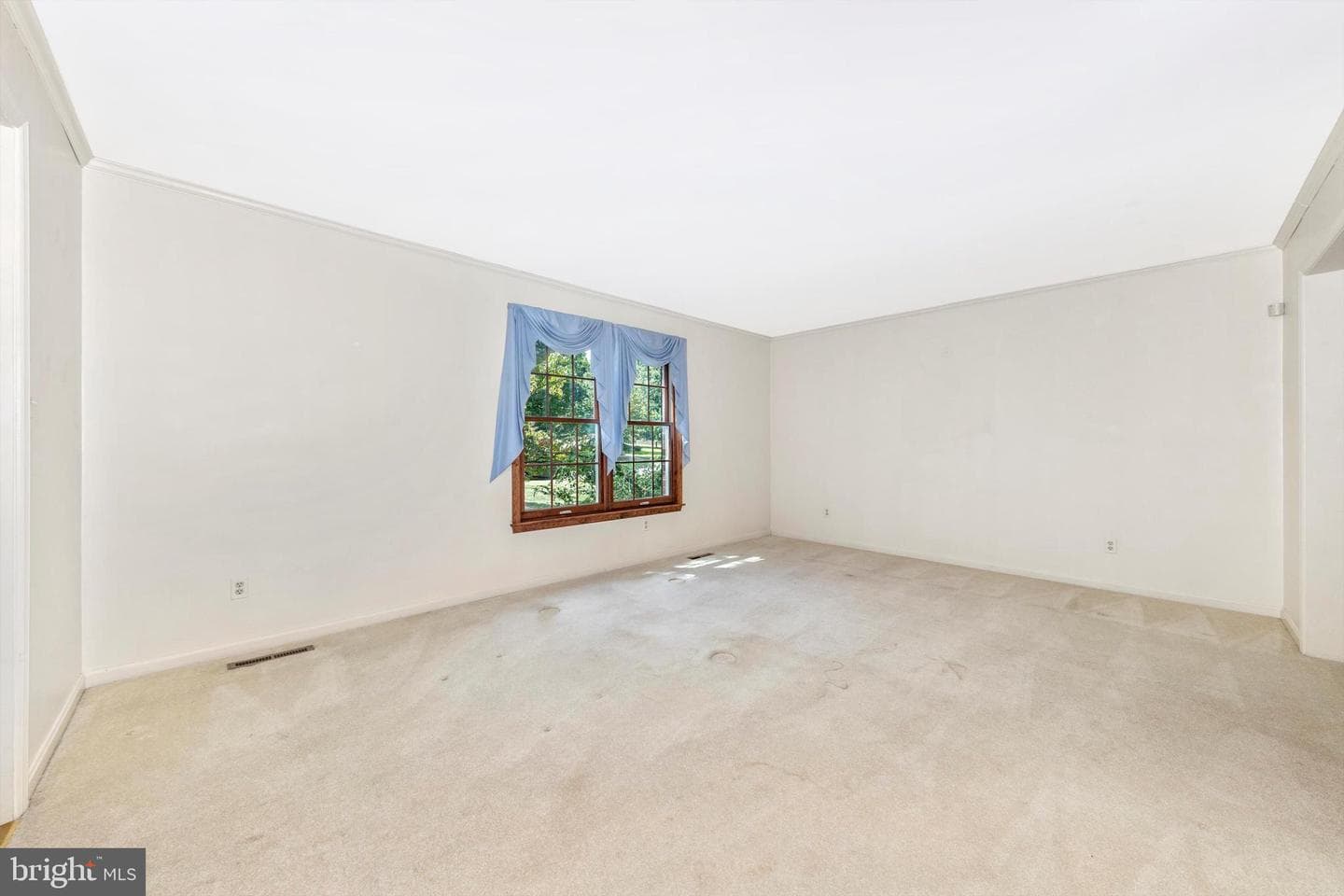10036 Century Drive photo 6