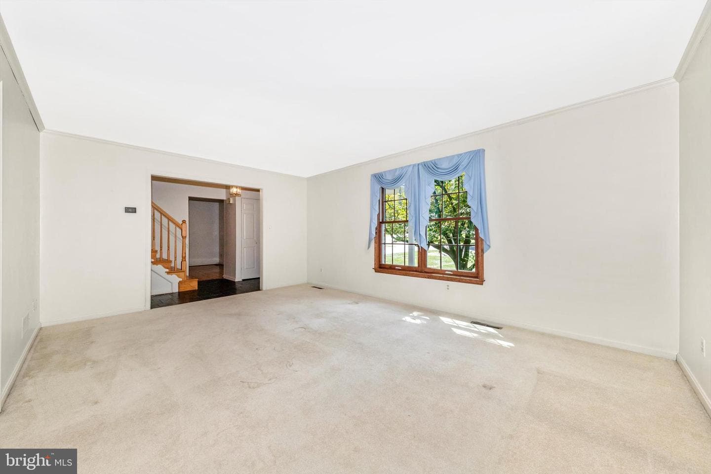 10036 Century Drive photo 7