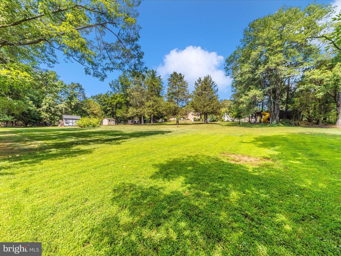 10036 Century Drive photo 71