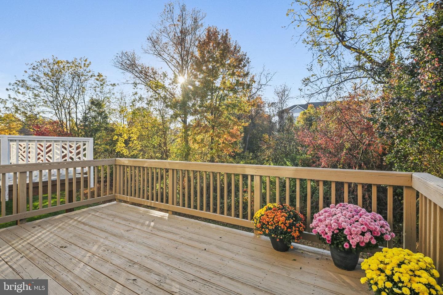 4953 Lee Farm Court #81 photo 8