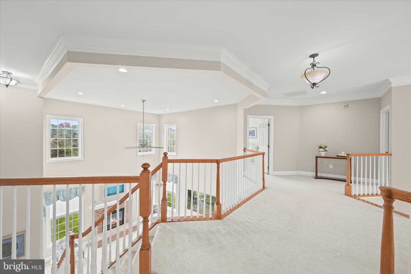 15205 Open Land Court photo 59