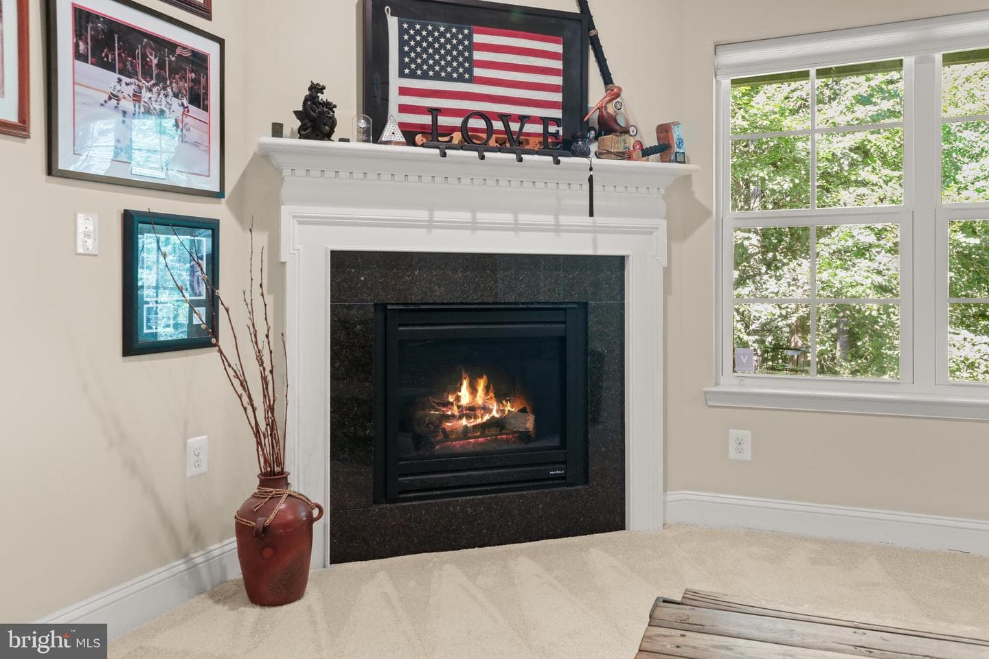 9380 Rock Ripple Lane photo 41