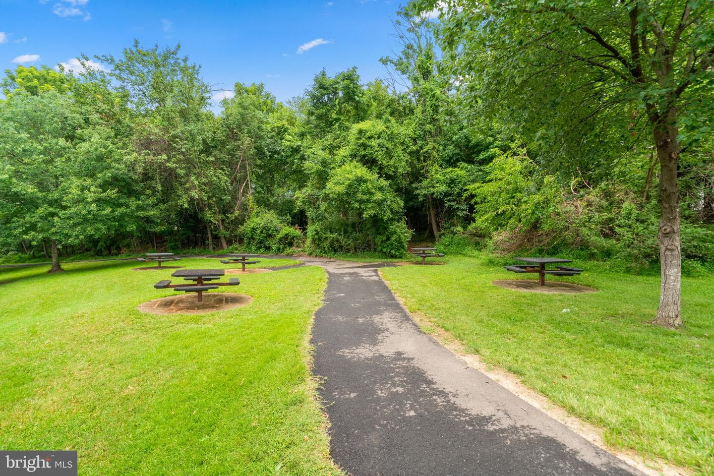 6601 June Apple Court photo 47
