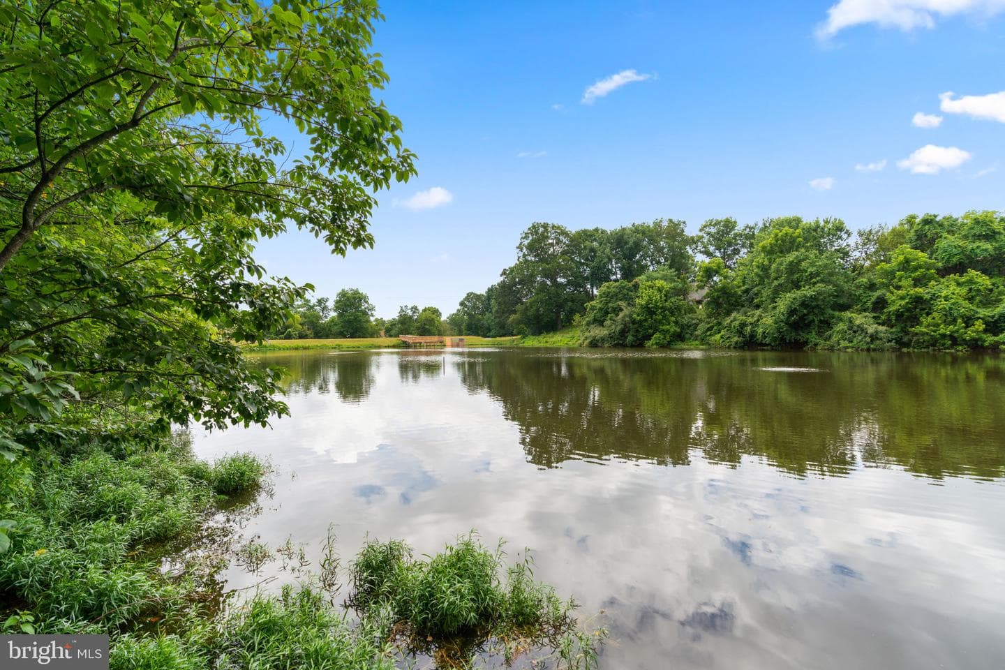 6601 June Apple Court photo 49