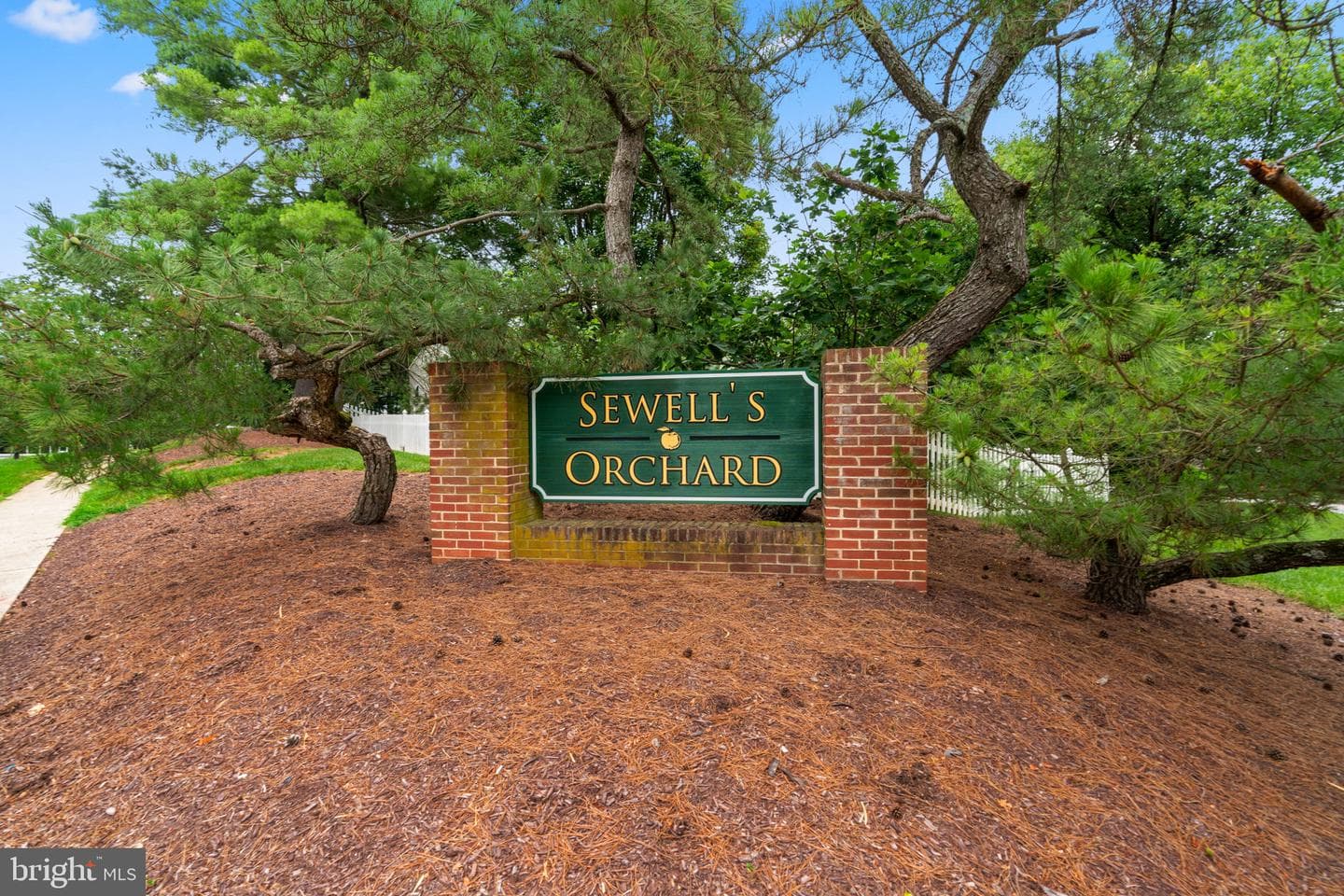 6601 June Apple Court photo 53