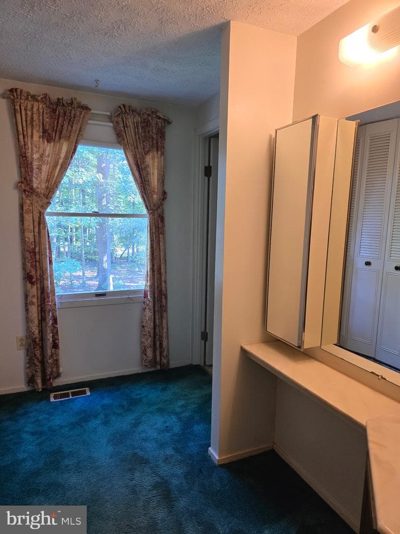 6330 Summer Grape Way photo 17