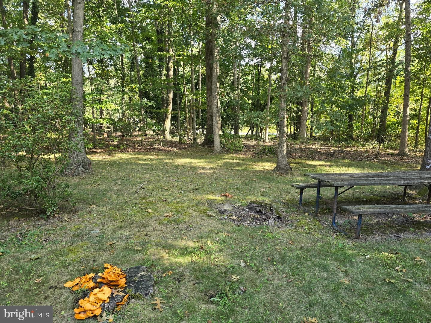 6330 Summer Grape Way photo 21
