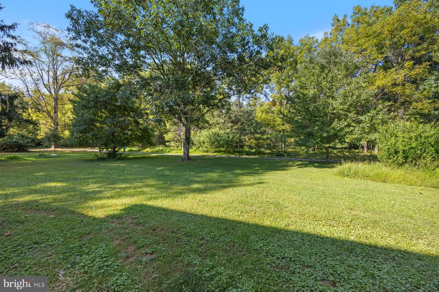 10617 August Light Court photo 35