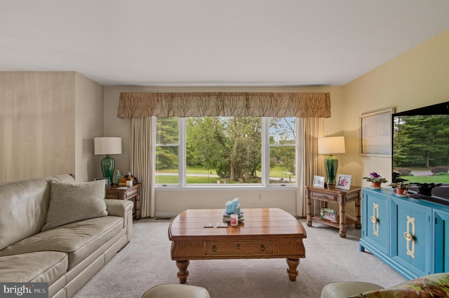13750 Barberry Way photo 13