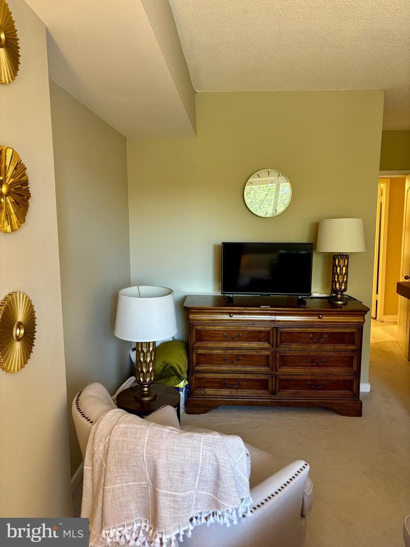 10001 Windstream Drive #707 photo 12