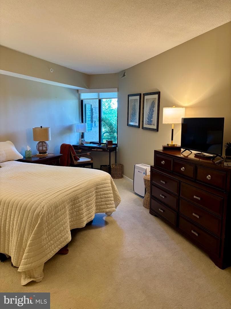 10001 Windstream Drive #707 photo 19