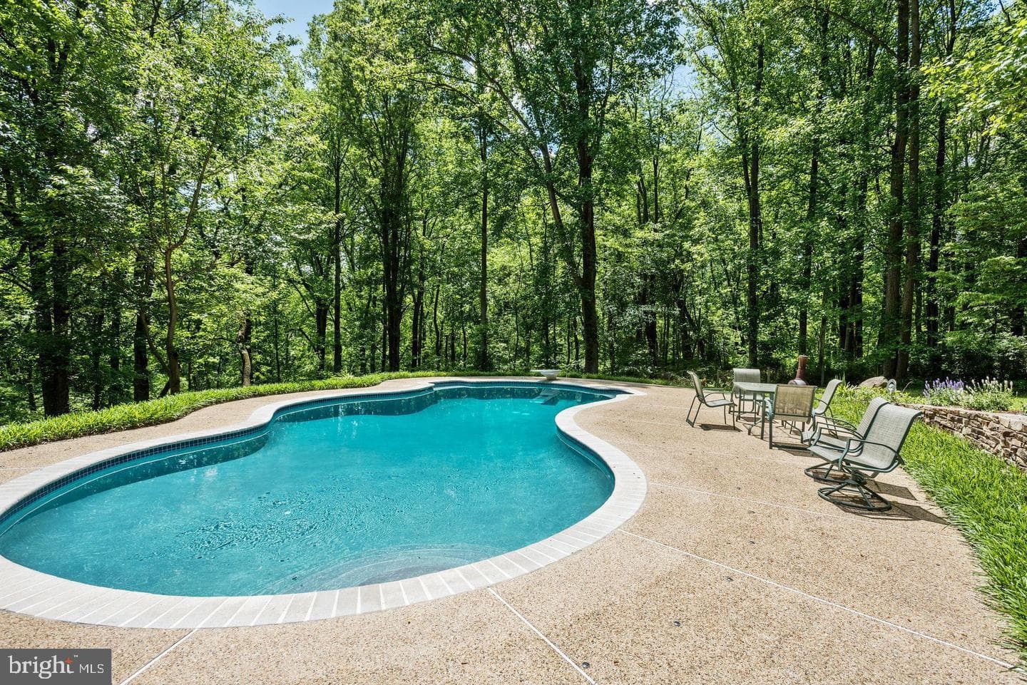 619 Sideling Court photo 48