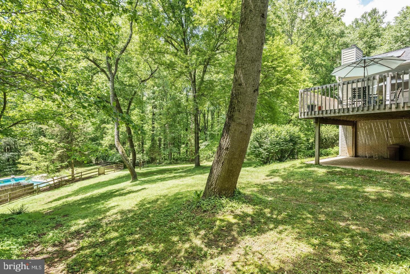 619 Sideling Court photo 49