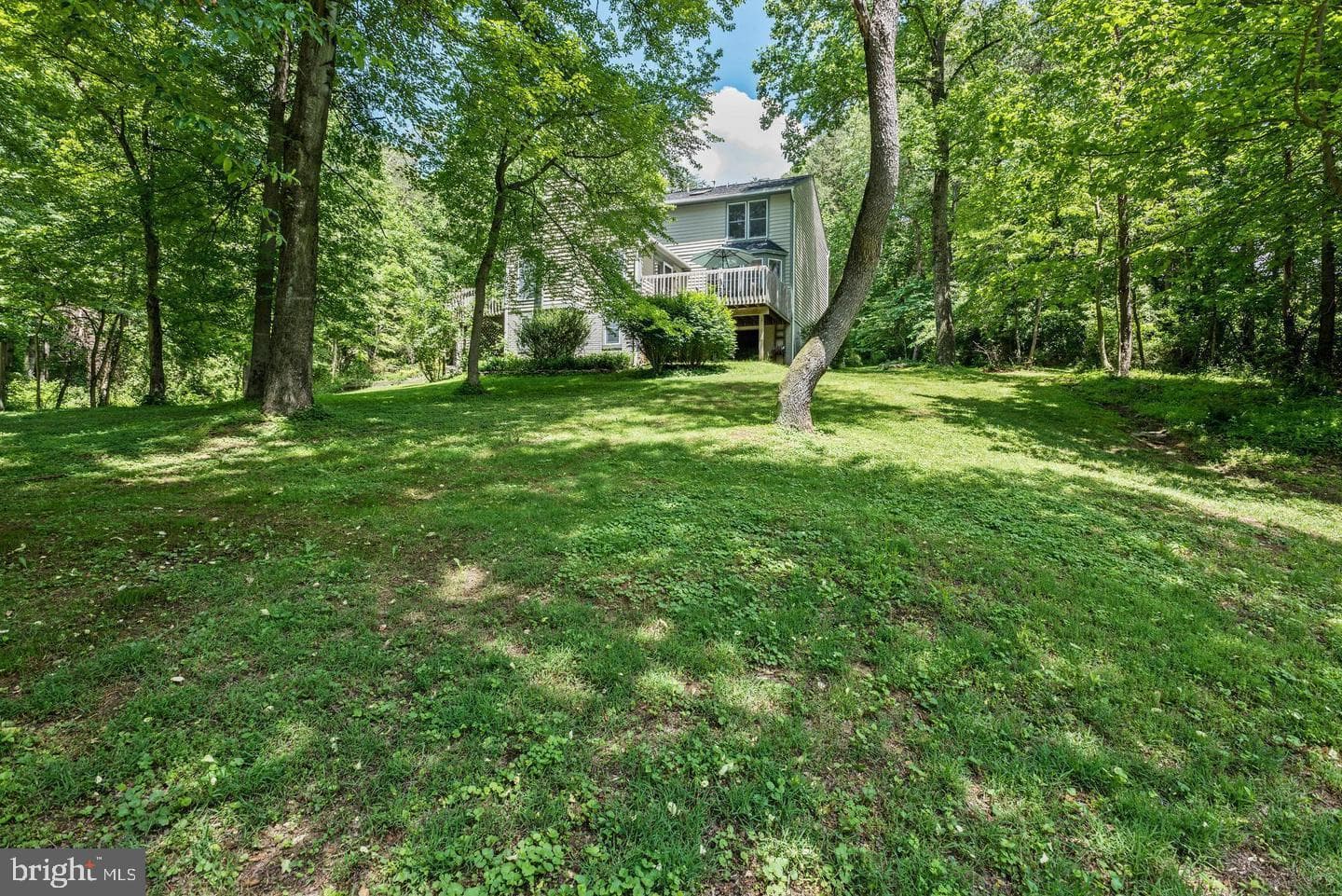 619 Sideling Court photo 51