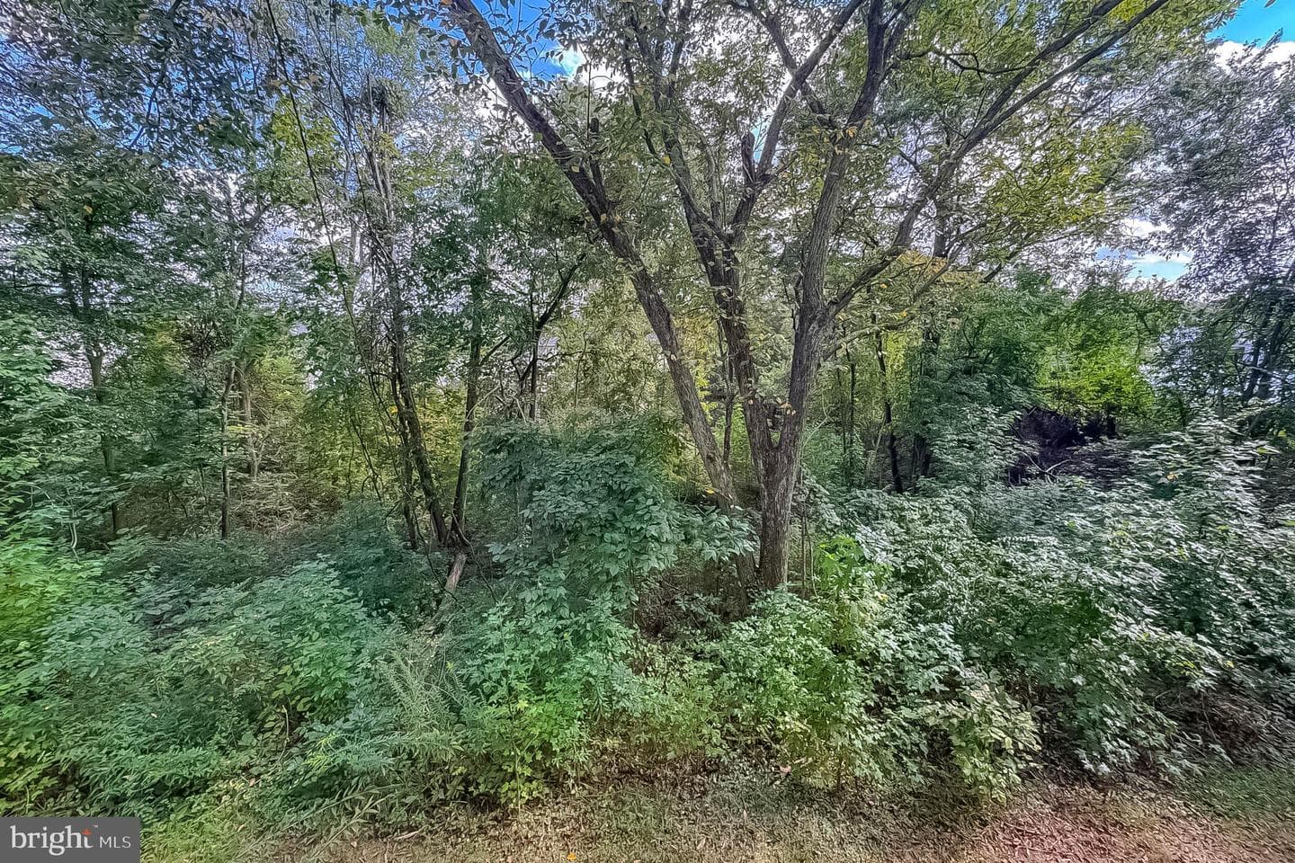 9151 Gracious End Court #203 photo 23