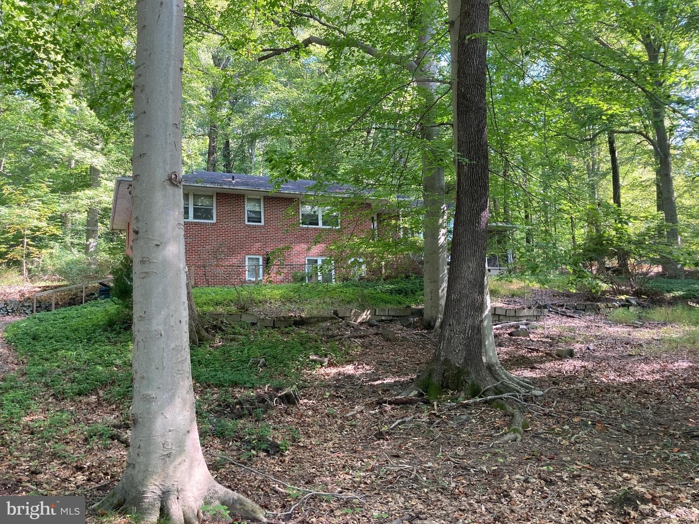 4921 Bonnie Branch Road photo 5