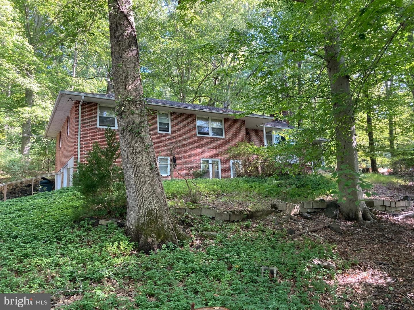 4921 Bonnie Branch Road photo 6
