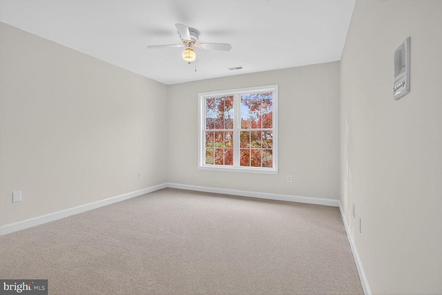 8369 Governor Grayson Way photo 34