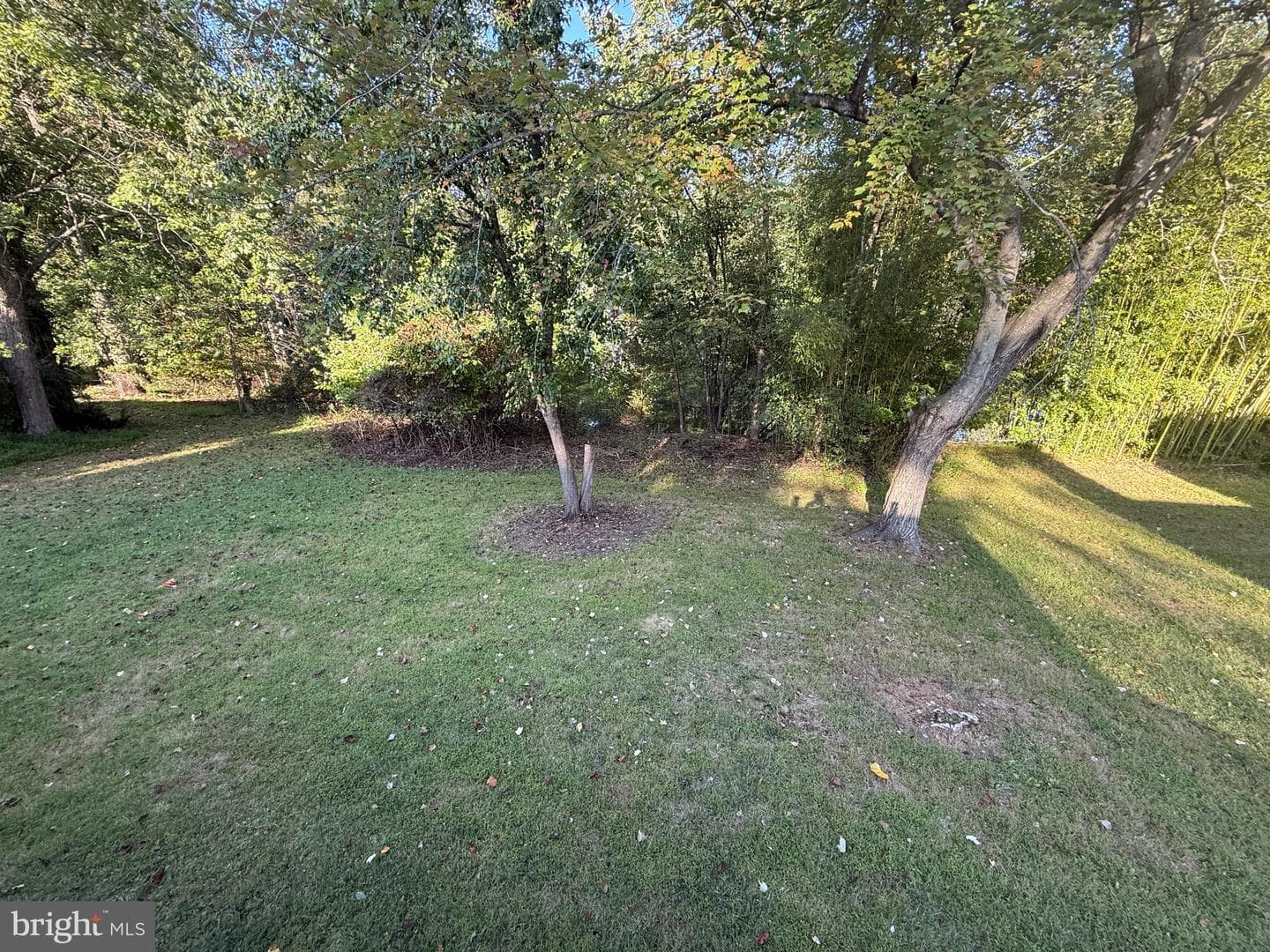 6321 Summercrest Drive photo 13