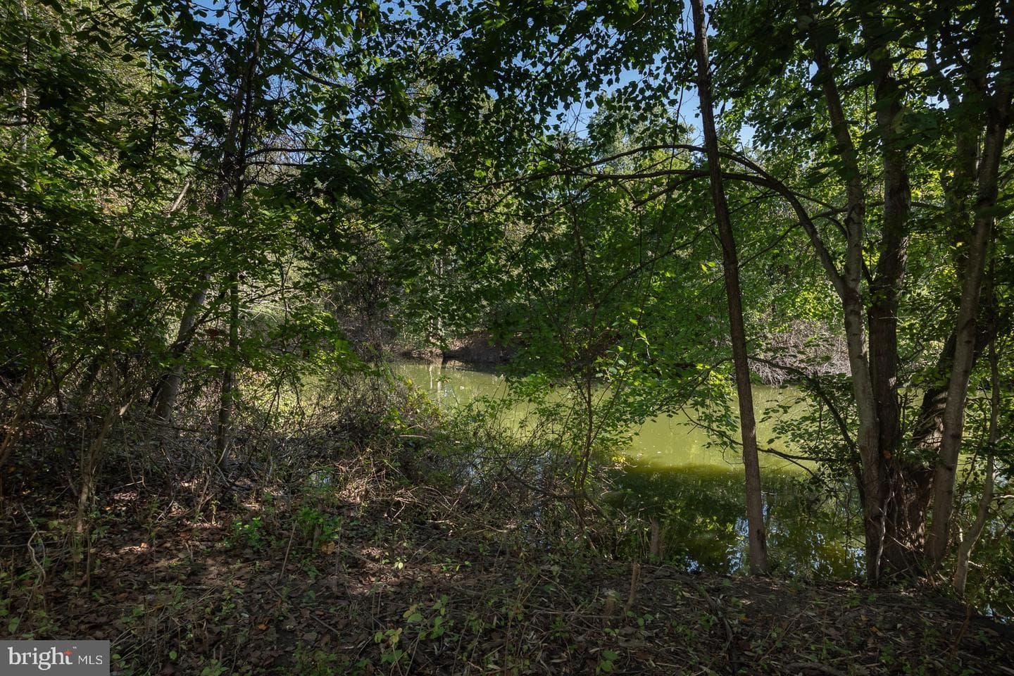 6321 Summercrest Drive photo 14