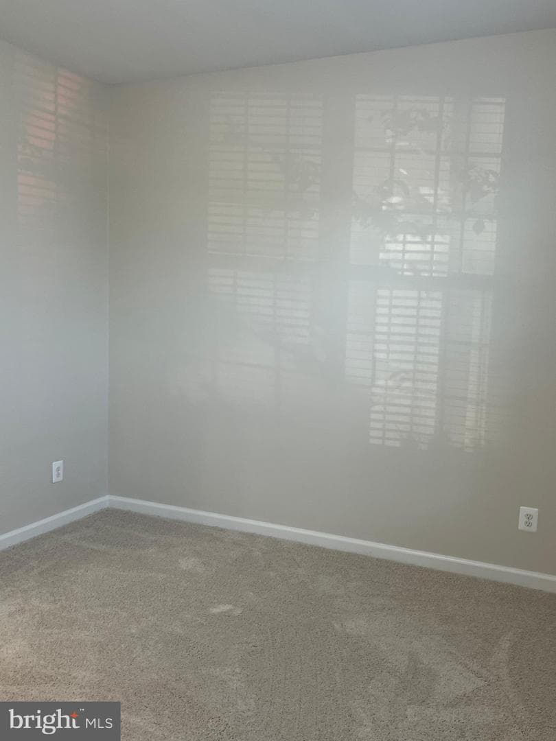 7936 Quidditch Lane photo 38