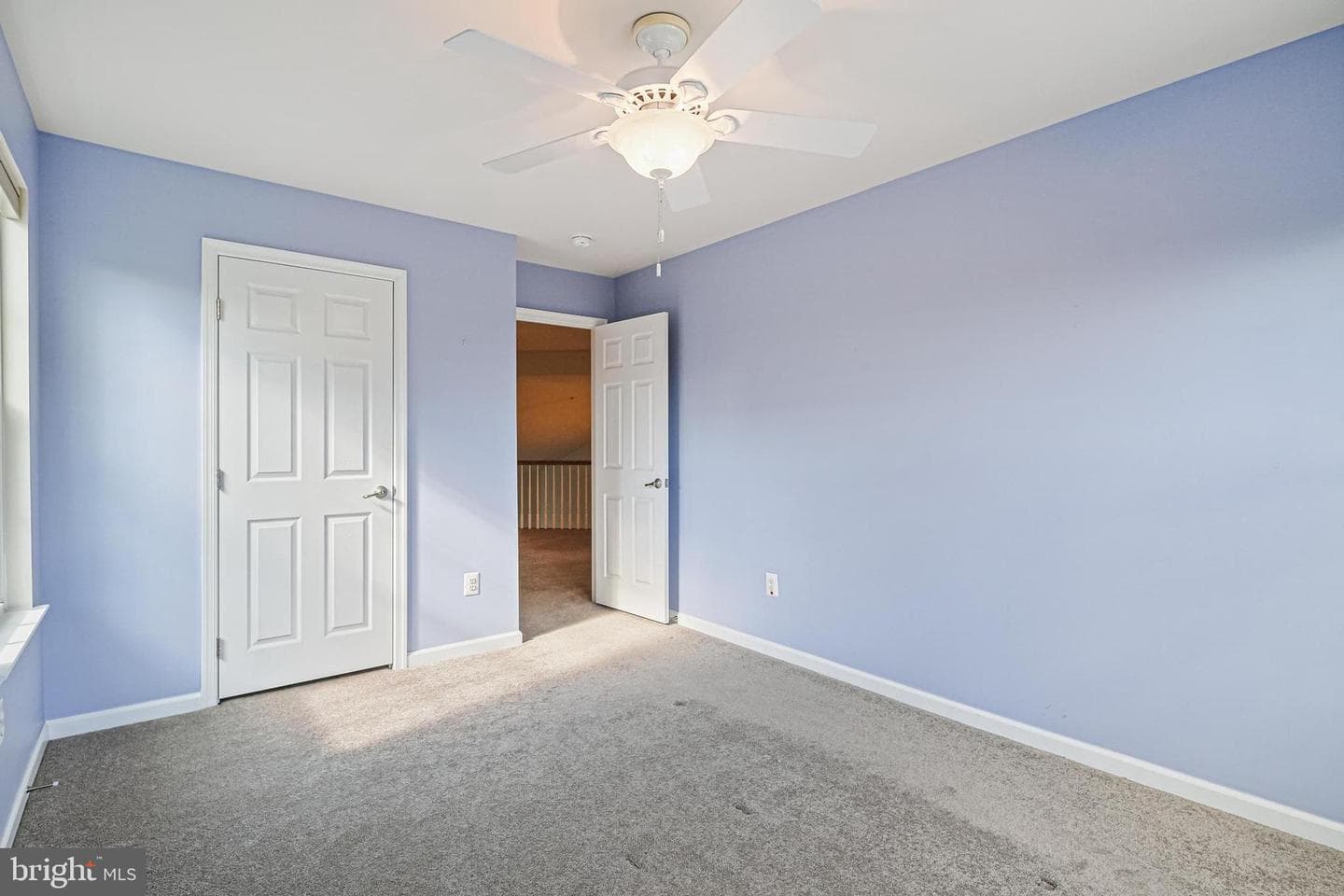 8103 Calla Lilly Drive #39 photo 37