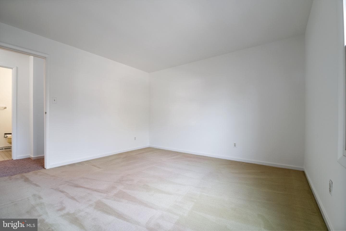 5546 Phelps Luck Drive photo 20