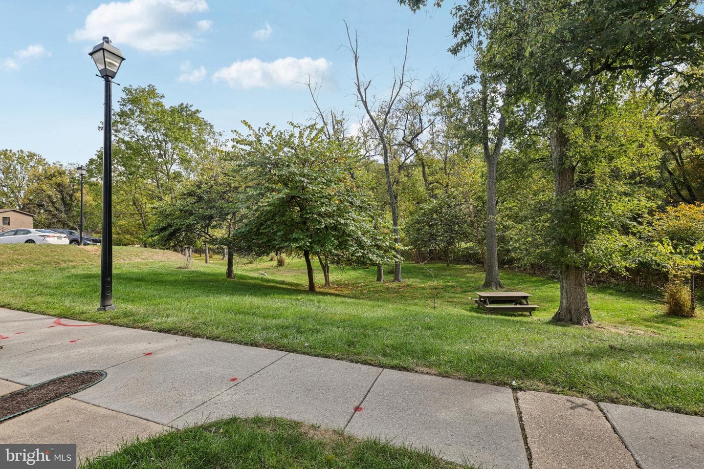 3569 Plumtree Drive #6 photo 21