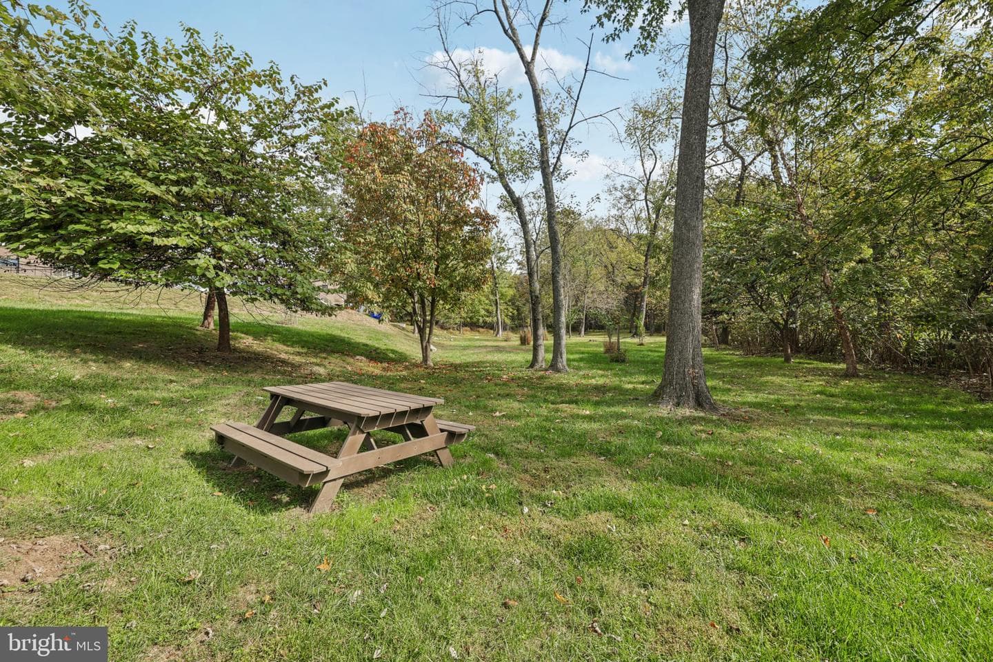 3569 Plumtree Drive #6 photo 23