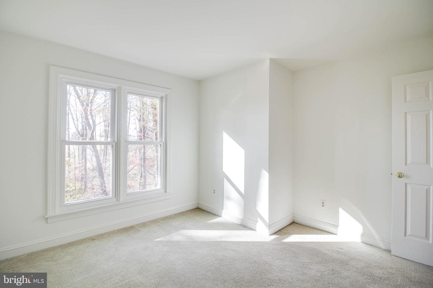 13838 Dayton Meadows Court photo 39