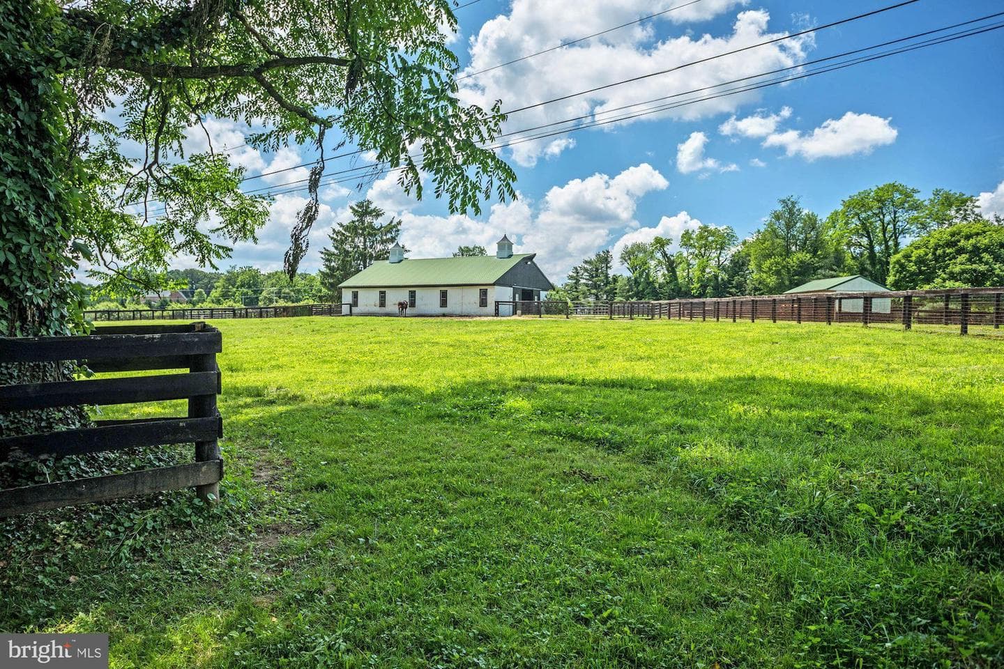 13032 Highland Road photo 108