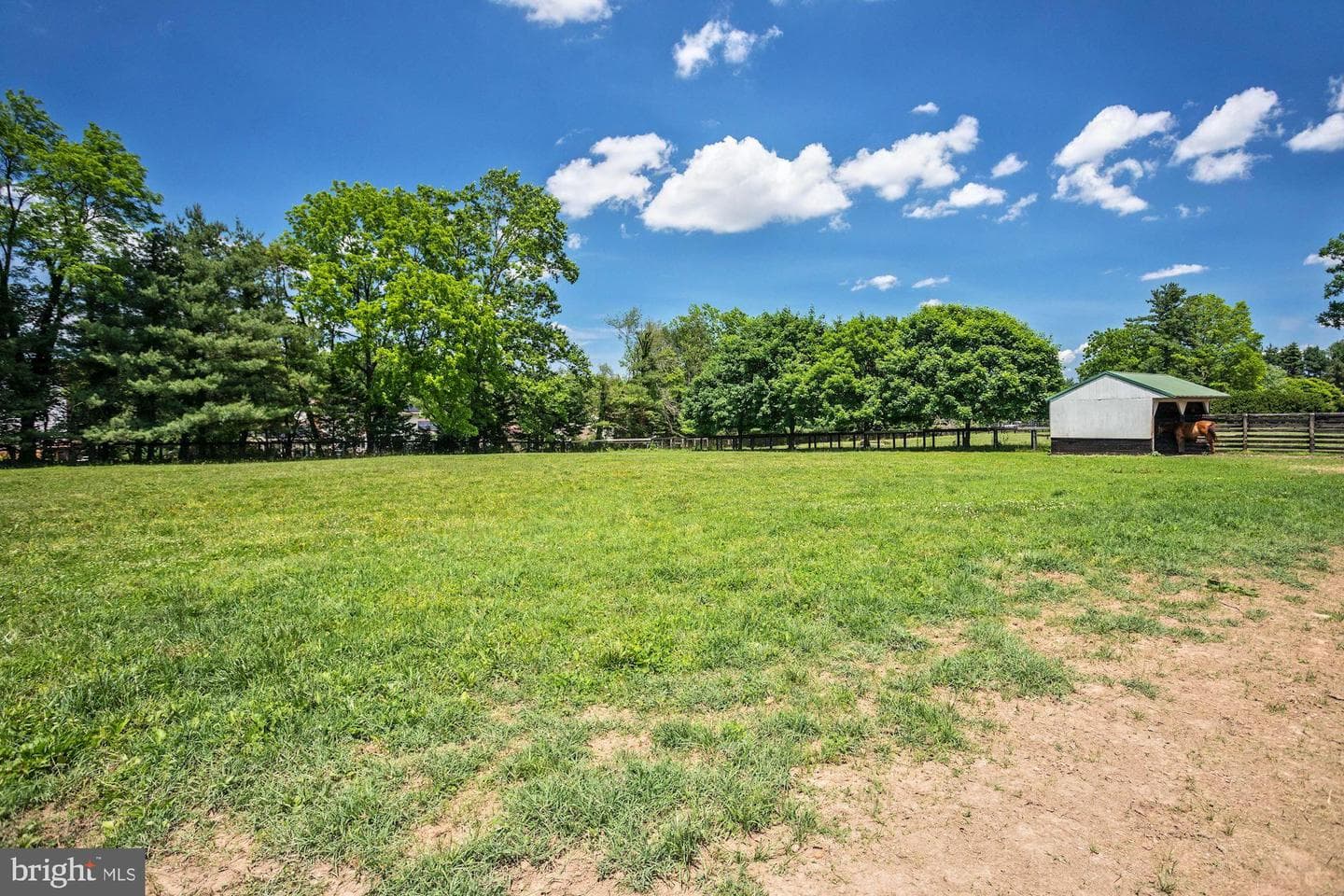 13032 Highland Road photo 109