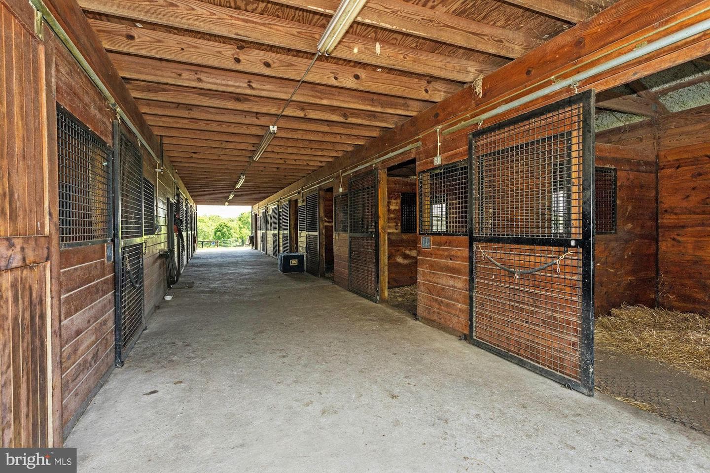 13032 Highland Road photo 96