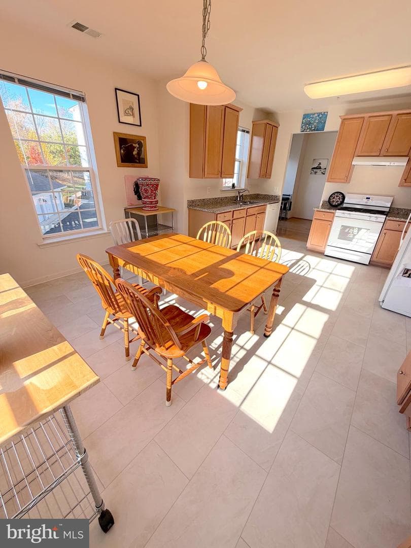 8501 Coltrane Court #206 photo 14