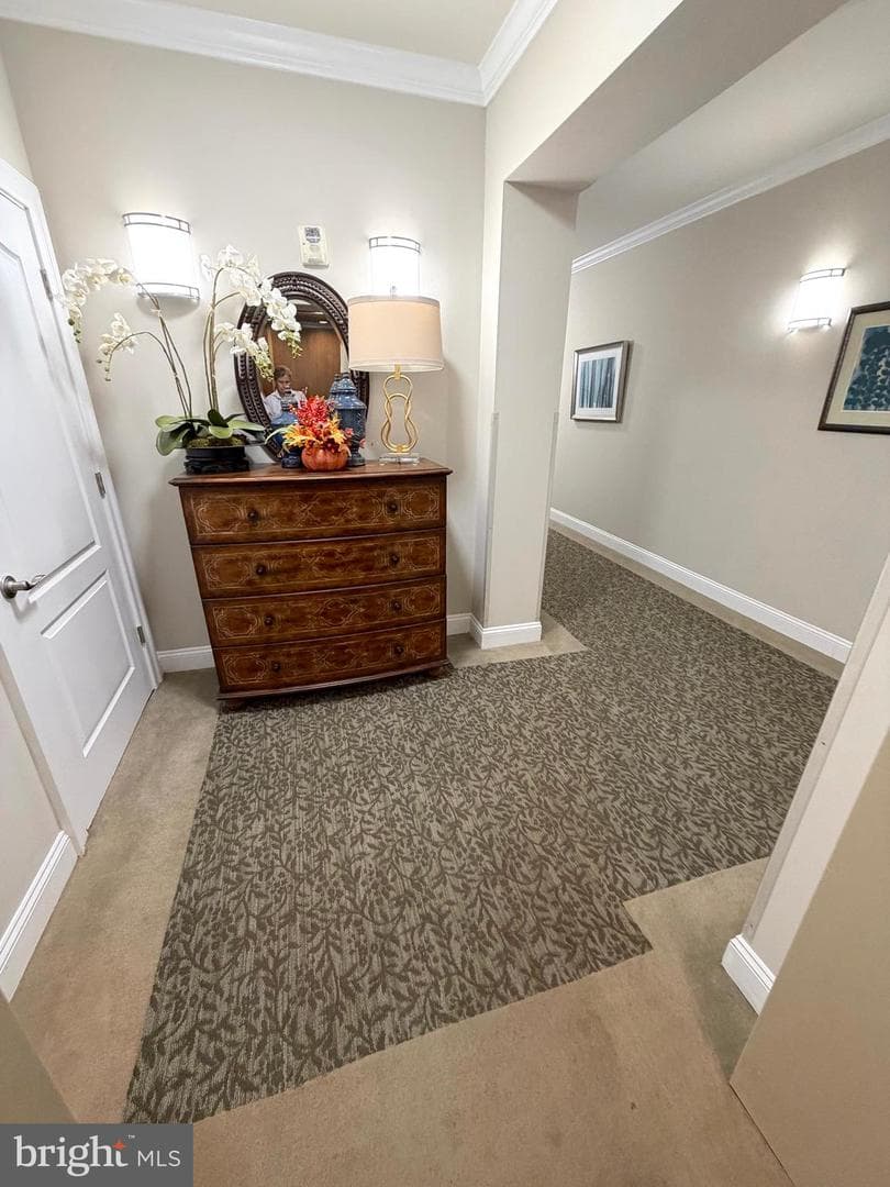 8501 Coltrane Court #206 photo 34