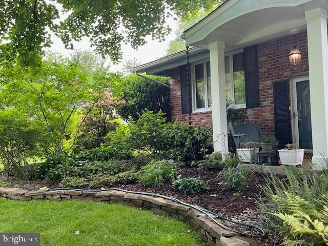 6725 Pine Drive photo 5