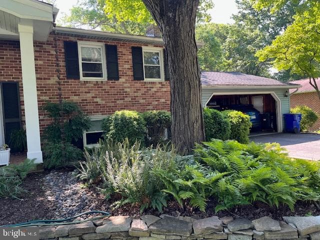 6725 Pine Drive photo 53